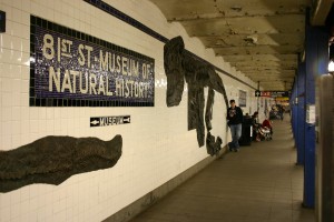 Subway Station For The Natural History Museum