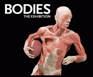 Bodies Exhibit New York