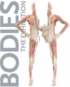 Bodies the Exhibition