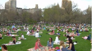Central Park in the Summer - Picnic Time