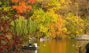 Row Boating and Kayaking - Central Park Fall Colors