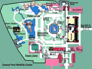 Central Park Zoo Map - What to See and Where to See